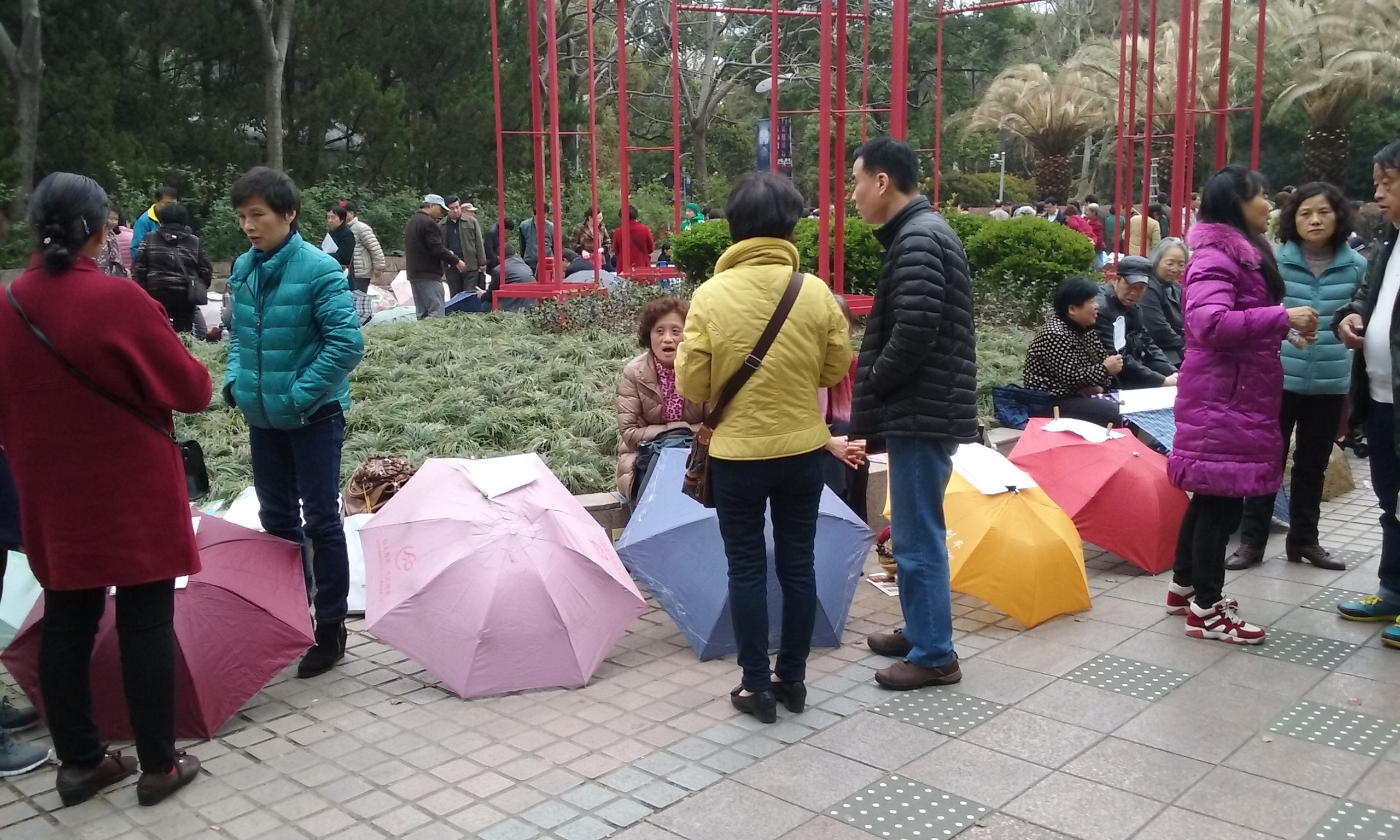 2182 Umbrellas